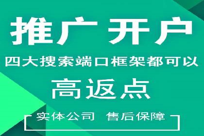百度搜索引擎优化推广：成功案例揭秘