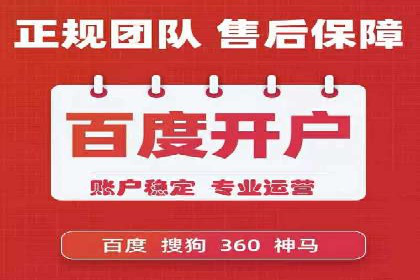 行业领先企业的SEM运营策略案例解析
